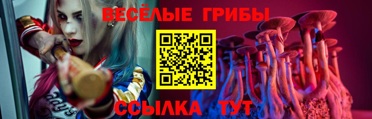 Галлюциногенные грибы Psilocybine cubensis  Вход с VPN  Полысаево  Псилоцибиновые грибы MAGIC MUSHROOMS 